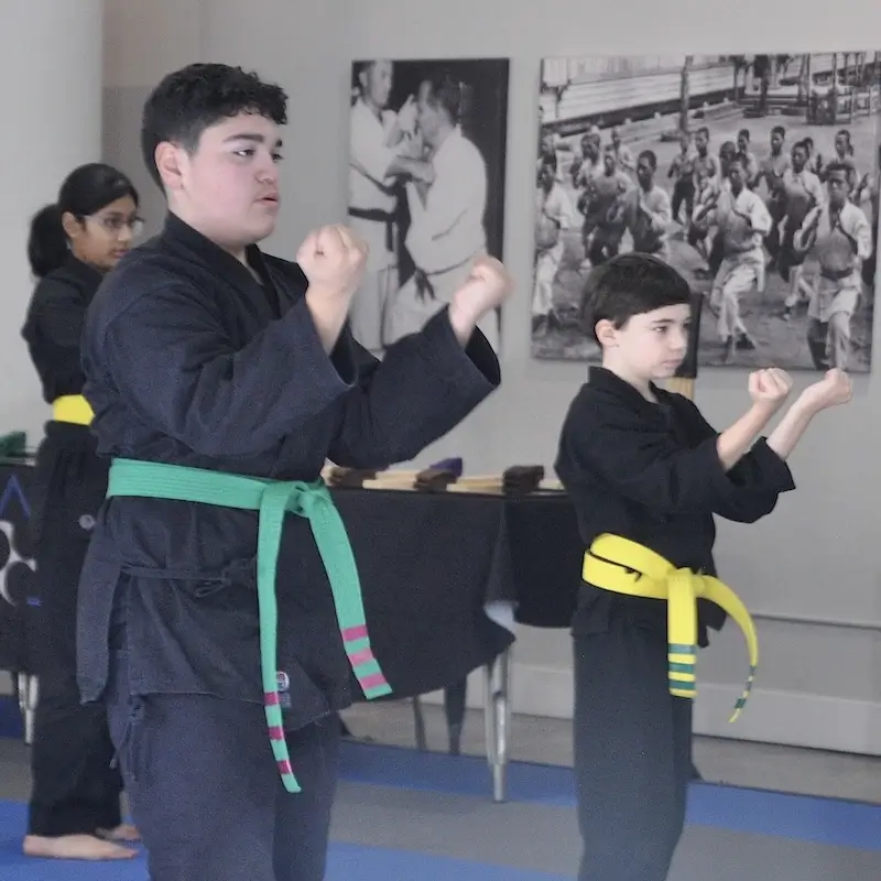 Dobbs Ferry Kids Martial Arts