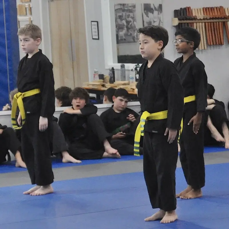 Dobbs Ferry Martial Arts for Kids